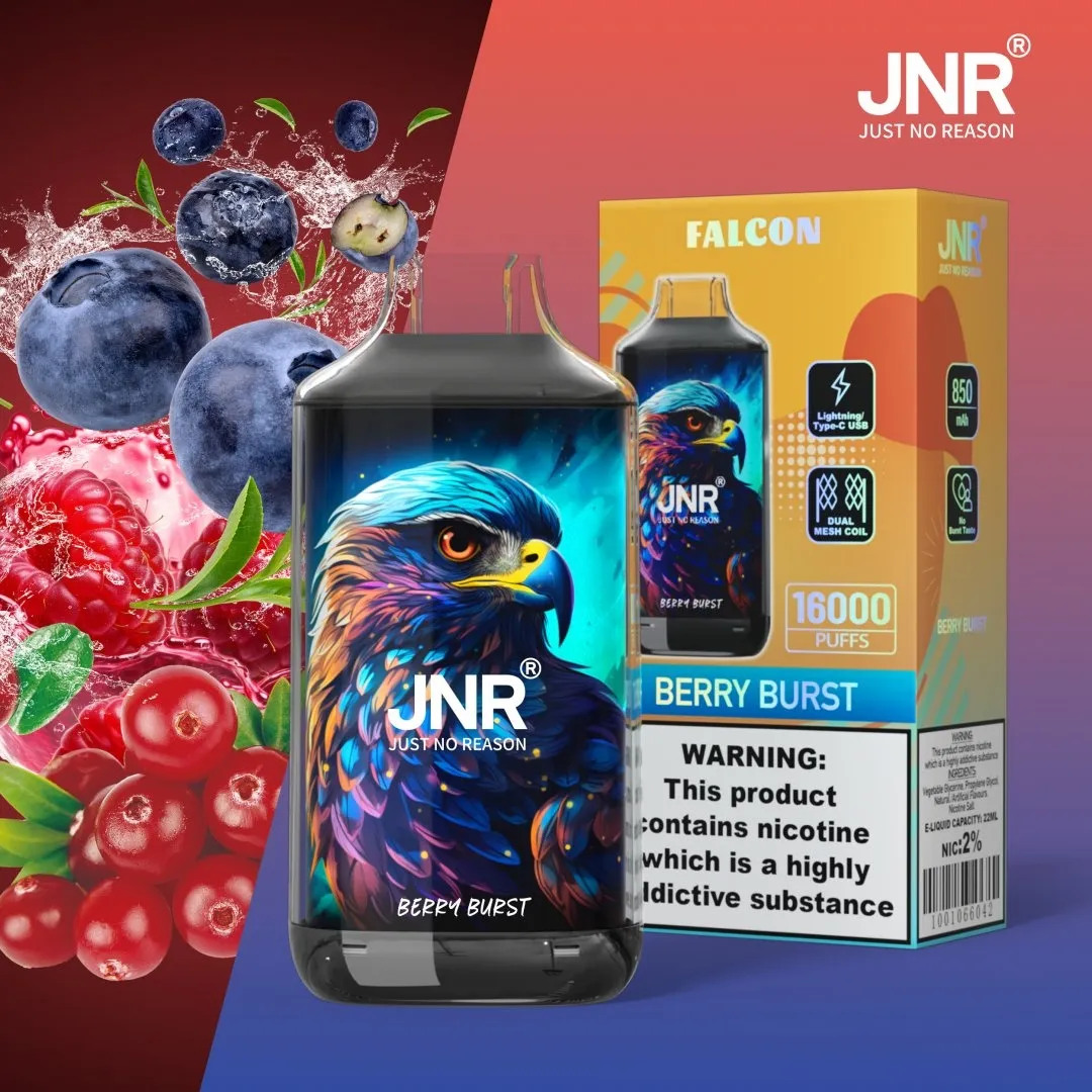 JNR Falcon 16000 Puffs